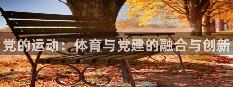 党的运动：体育与党建的融合与创新