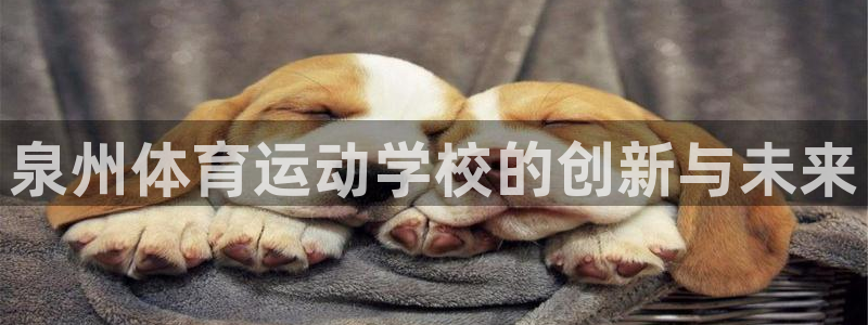 泉州体育运动学校的创新与未来