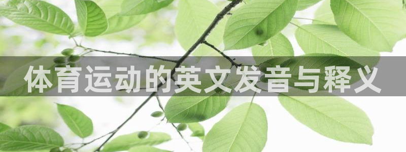 体育运动的英文发音与释义