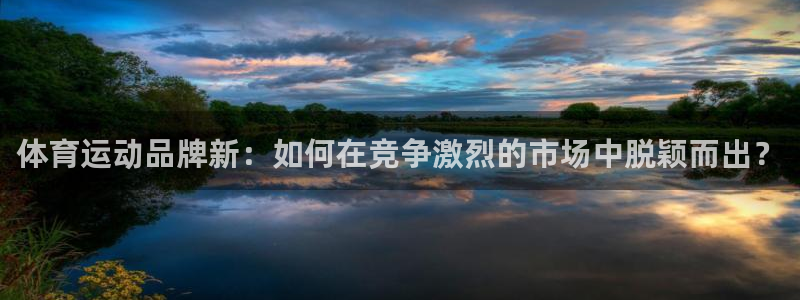 体育运动品牌新：如何在竞争激烈的市场中脱颖而出？